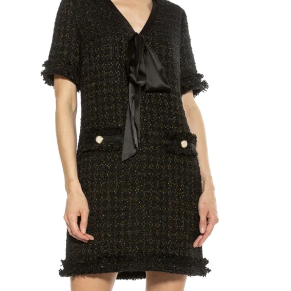 Alexia Admor Tweed Dress from SAKS Black Sparkle like new sz 12